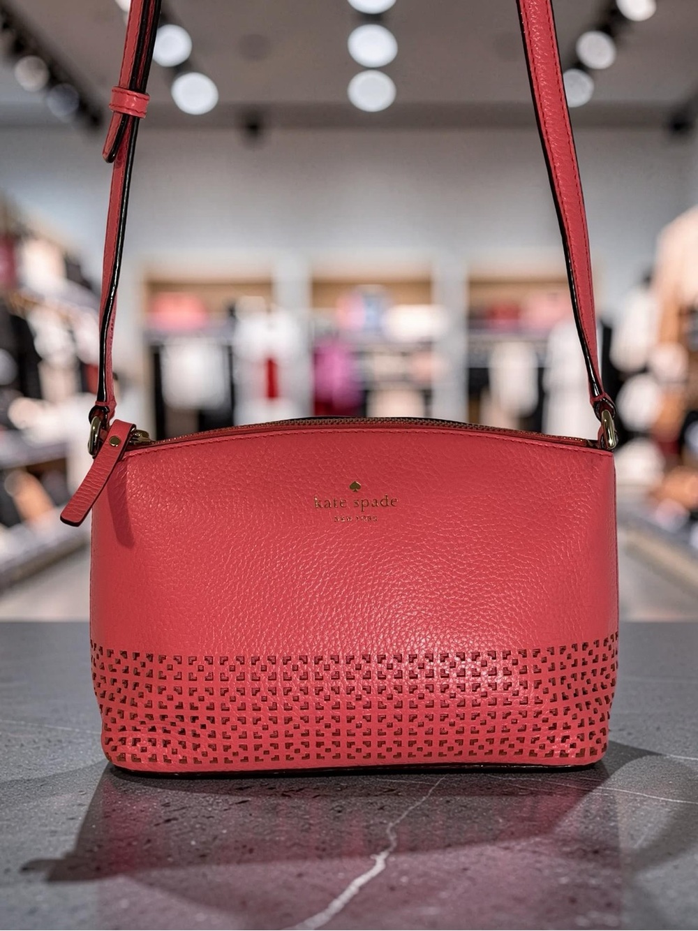 Kate Spade New York Wakefield Lane Millie Crossbody Handbag Purse